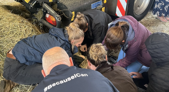 Group of people learning how to give first aid to someone injured